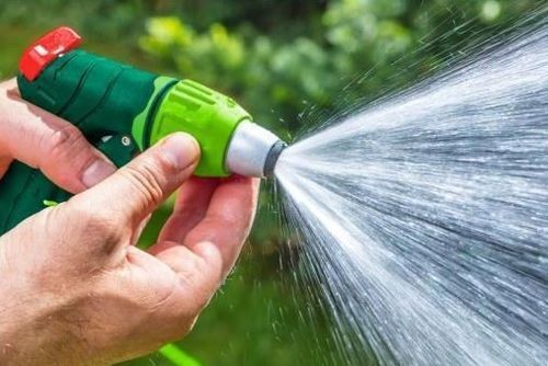 купить Дождеватель Verto 52179 Пистолет-дождеватель, круглый с регулировкой в Кишинёве 