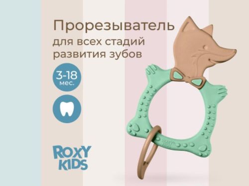 cumpără Iinel dentiție Roxy Kids RBT20033 FOX, оливковый în Chișinău 