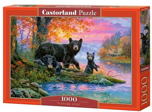 cumpără Puzzle Castorland Puzzle C-104727 Puzzle 1000 elemente în Chișinău 
