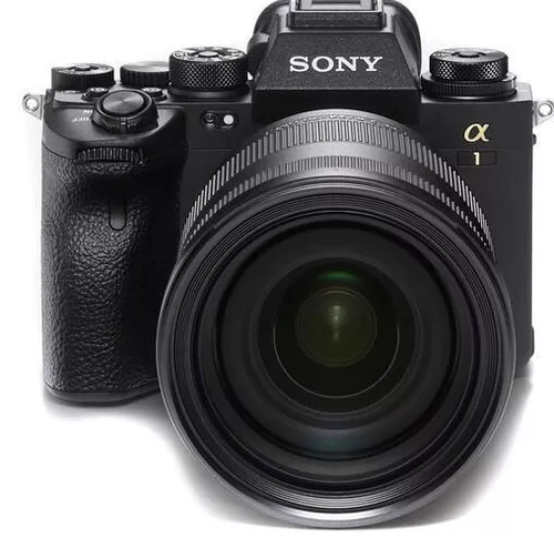 cumpără Aparat foto mirrorless Sony ILCE1B în Chișinău 