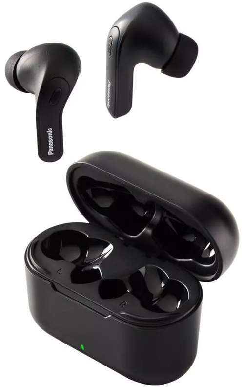 cumpără Căști fără fir Panasonic RZ-B310WDG-K în Chișinău 
