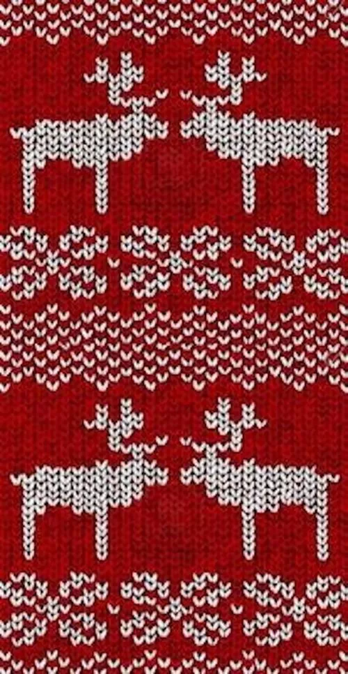 cumpără Îmbrăcăminte sport miscellaneous 4208 Buff-bandana Transformer COOL în Chișinău 