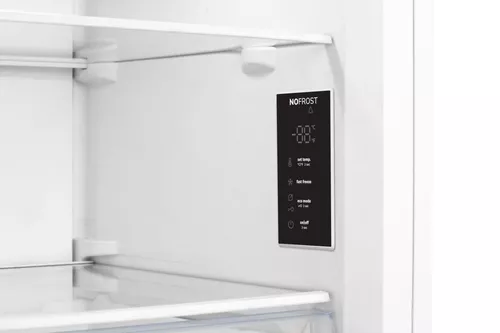 купить Морозильник Gorenje FN617EEW5 в Кишинёве 