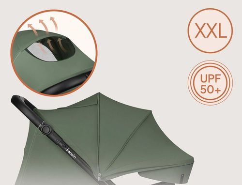 купить Детская коляска Lionelo Iva Green Forest в Кишинёве 