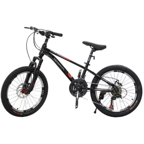 cumpără Bicicletă New World WEIERFA PH Bicicleta pentru copii cu 2 roti, 20 inch, negru, 61554 în Chișinău 