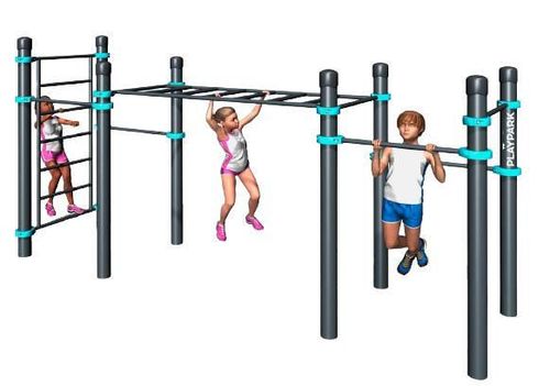 купить Детская площадка PlayPark Workout KIDS C-122 в Кишинёве 