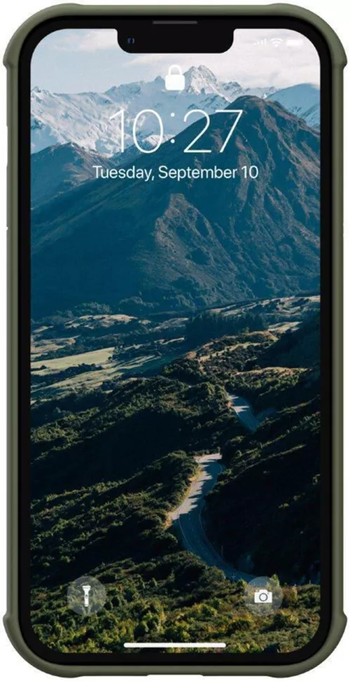 купить Чехол для смартфона UAG 11316K117272, Apple iPhone 13 Pro Max Standard Issue, Olive в Кишинёве 