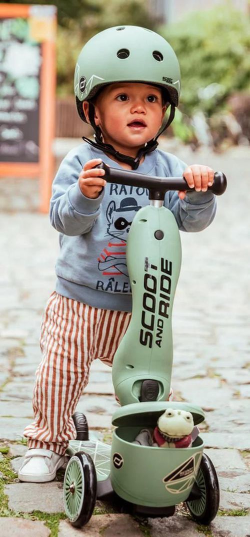 cumpără Trotinetă Scoot&Ride 00075 Highway 2in1 Kick 1 Lifestyle Wildcat în Chișinău 