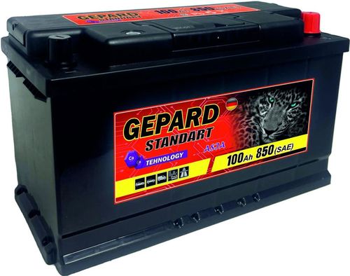 купить Автомобильный аккумулятор Gepard Standart 100 AH 850A (353x175x190) в Кишинёве 