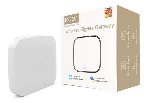 купить Центр управления умным домом Moes ZHUB-W-MS в Кишинёве 