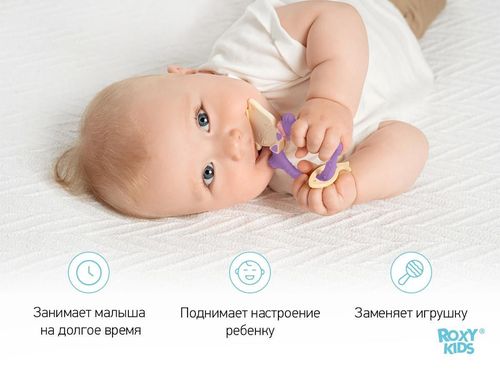 cumpără Iinel dentiție Roxy Kids RMT-002 Прорезыватель MEOW TEETHER, сиреневый în Chișinău 