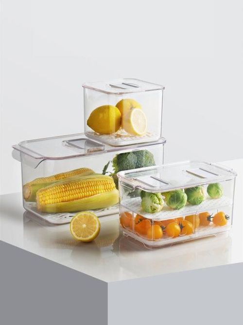 cumpără Container alimentare Vacane 6539 Pentru păstrare fructe/legume în frigider set 3buc în Chișinău 