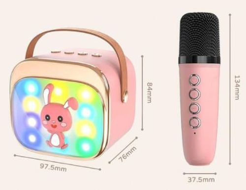 купить Музыкальная игрушка Essa DN12052 Boxă karaoke cu 2 microfoane și lumina LED, Roz в Кишинёве 
