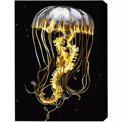 cumpără Tablou pe numere BrushMe BSB0001FC 40x50сm (pânză neagră/fără cutie) Meduza în Chișinău 