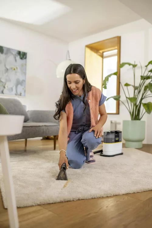 cumpără Aspirator cu spălare Karcher SE 2 Spot Pure+ în Chișinău 