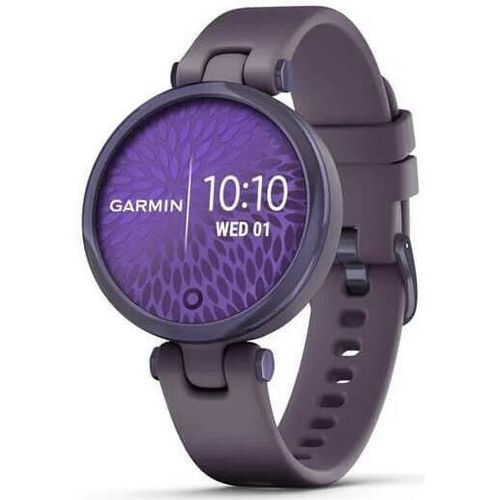 купить Смарт часы Garmin Lily™ (010-02384-12) в Кишинёве 