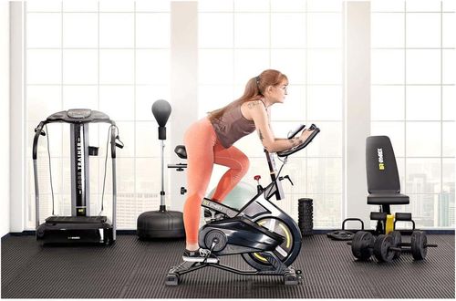 cumpără Bicicletă fitness Gymrex GR-MG123 în Chișinău 