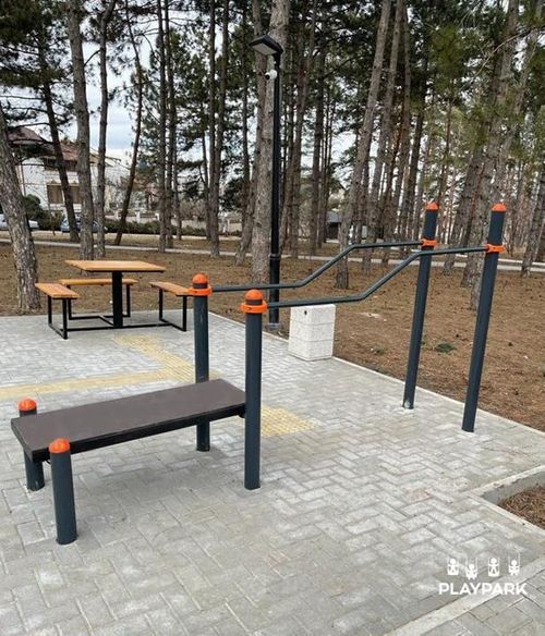 купить Уличный тренажер PlayPark 6506 Bare paralele în creștere curbate PD-06 в Кишинёве 