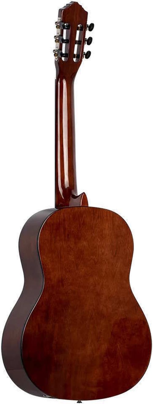 купить Гитара ORTEGA RST5 в Кишинёве 