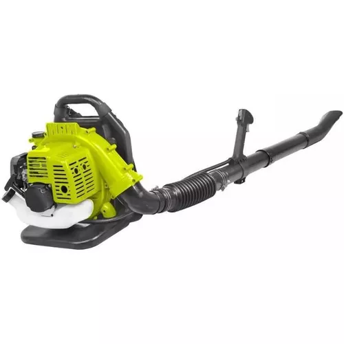 купить Воздуходувка Dyllu DTYQ1A42 (51729) в Кишинёве 