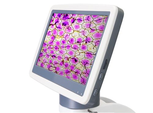 купить Микроскоп Levenhuk D85L LCD Digital в Кишинёве 