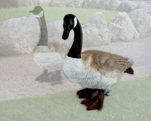 cumpără Decor pentru grădină Figuren Discounter Z2011/41 Giscte canadiane în Chișinău 