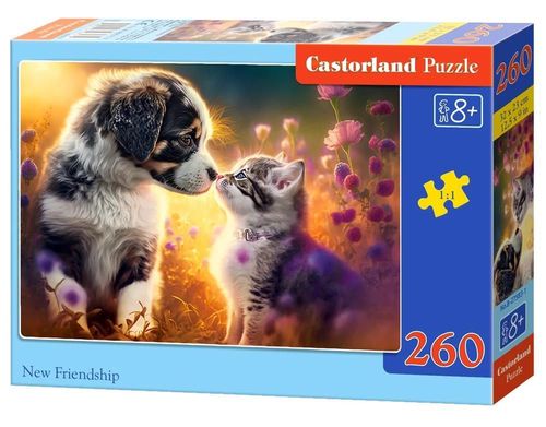 cumpără Puzzle Castorland Puzzle B-27583 Puzzle 260 elemente în Chișinău 