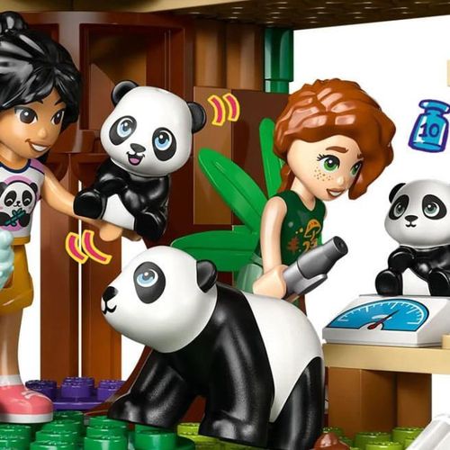 cumpără Set de construcție Lego 42648 Friends Ingrijirea animalelor in rezervatie Panda în Chișinău 