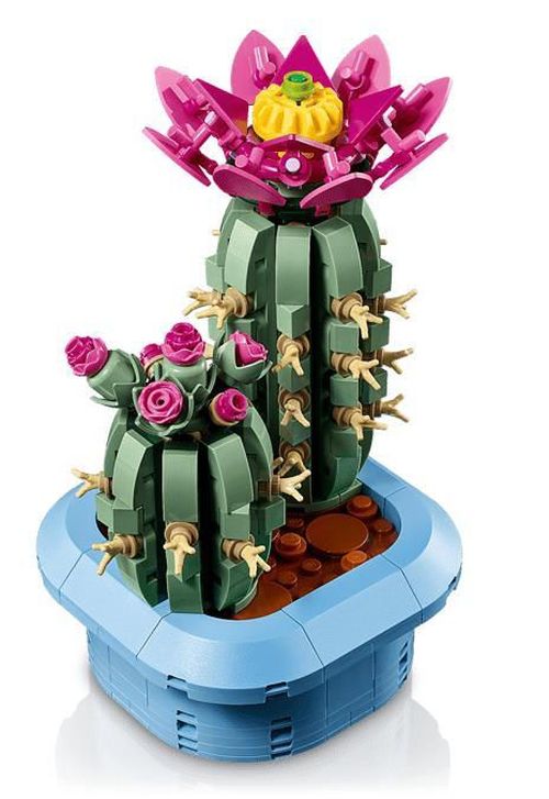 cumpără Set de construcție Lego 11509 Flowering Cactus în Chișinău 