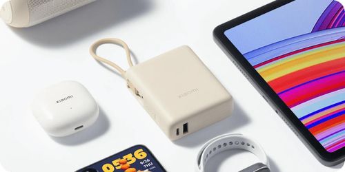 cumpără Acumulator extern USB (Powerbank) Xiaomi Mi 33W Power Bank 10000mAh w/cable Tan în Chișinău 