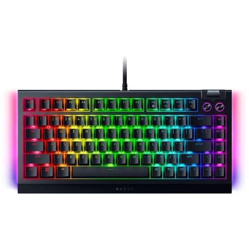 купить Игровая клавиатура Razer RZ03-05000100-R3M1 BlackWidow V4 75%, Black Edition US Layout в Кишинёве 