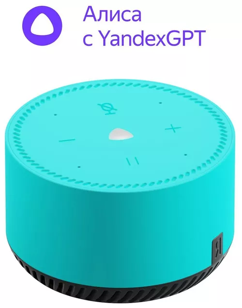 cumpără Boxă portativă Bluetooth Yandex YNDX-00025G Alisa Station Lite Green în Chișinău 