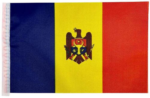 купить Спортивное оборудование miscellaneous 8777 Flag-stegulet cu suport Moldova в Кишинёве 