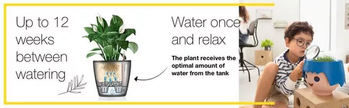 купить Цветочный горшок Lechuza Ojo, Apple Green в Кишинёве 