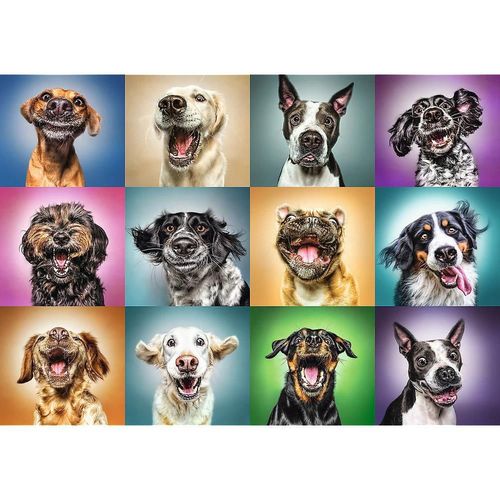 cumpără Puzzle Trefl 10462 Puzzle 1000. Ciinisorii în Chișinău 