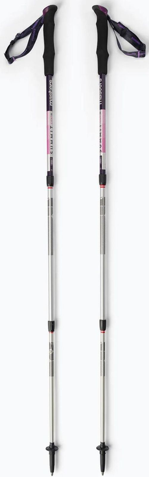 cumpără Bețe pentru trekking Masters SUMMIT LIGHT Women (01S4619) în Chișinău 