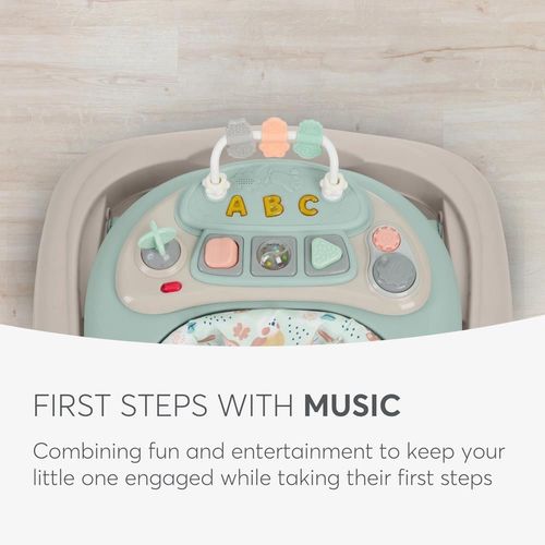 cumpără Premergător Kikka Boo 31005030106 Premergator Lillo Mint în Chișinău 