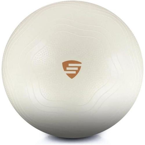 купить Мяч LivePro LP9005/65/WH Exercise Ball 65cm в Кишинёве 