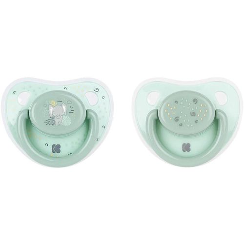 cumpără Suzetă Kikka Boo 31303010045 Suzete ortodontice din silicon Savanna Mint (6-18 luni), 2 buc. în Chișinău 