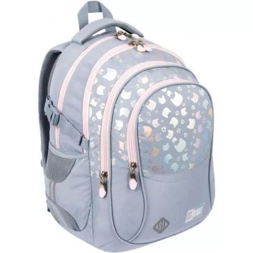 cumpără Rucsac pentru oraș St.RIGHT 52932 Silver Cats în Chișinău 