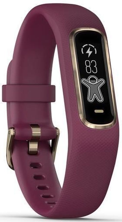 купить Фитнес-трекер Garmin Vivosmart 4 Rose Gold, Berry Band S/M в Кишинёве 