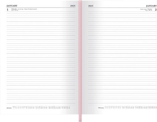 cumpără Carnet Pyramid International SR74577 Pusheen 2025 A5 Diary DTP în Chișinău 