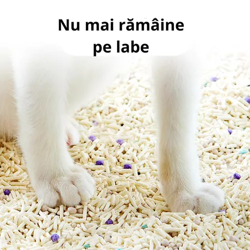 cumpără Produse pentru animale domestice Petkit Nisip mixt tofu+ bentonit pentru litiera 6buc în Chișinău 