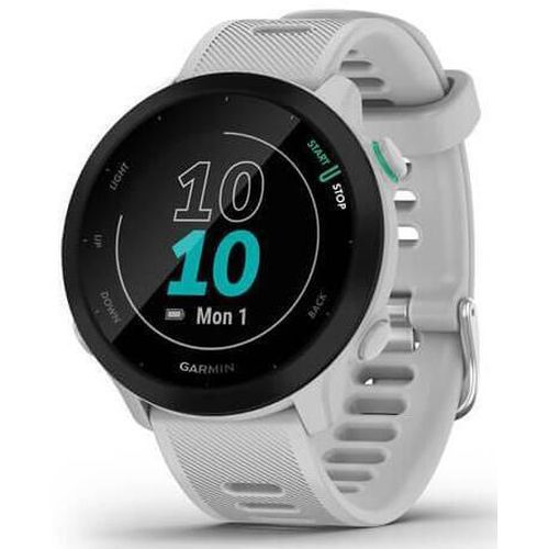 купить Смарт часы Garmin Forerunner® 55 (010-02562-11) в Кишинёве 