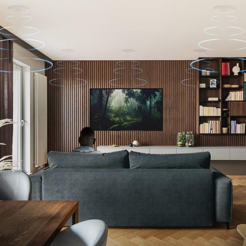 купить Колонки Hi-Fi LitheAudio 5.1 Wireless In-Ceiling Surround Sound Cinema Kit With WiSA SoundSend (B-PRO-W-51SS) в Кишинёве 