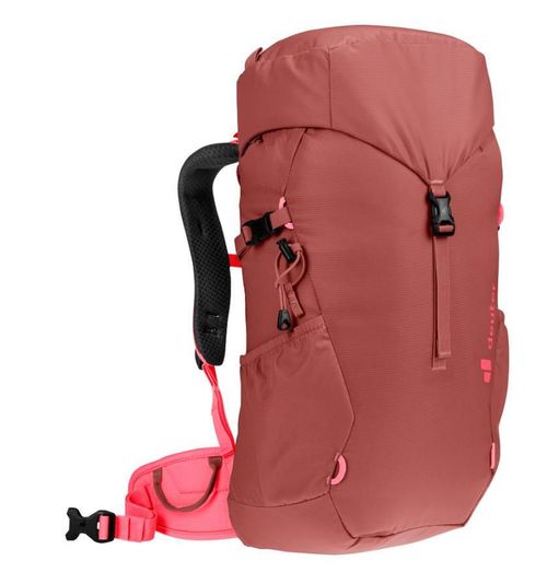 cumpără Rucsac turistic Deuter Climber 22 redwood-hibiscus în Chișinău 