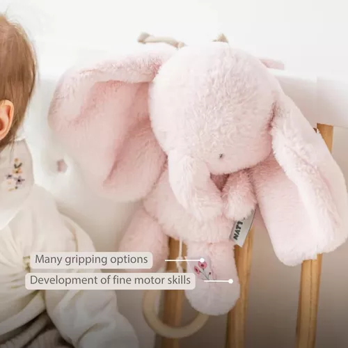 cumpără Jucărie cu pandantiv Nattou 759182 Fanfan musical plush toy elephant pink în Chișinău 