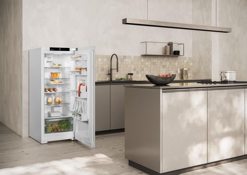 cumpără Frigider cu o ușa Liebherr Rf 4600 în Chișinău 