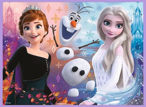 cumpără Puzzle Trefl R25E /46 (93335)  2 în 1 + Memos Frozen în Chișinău 