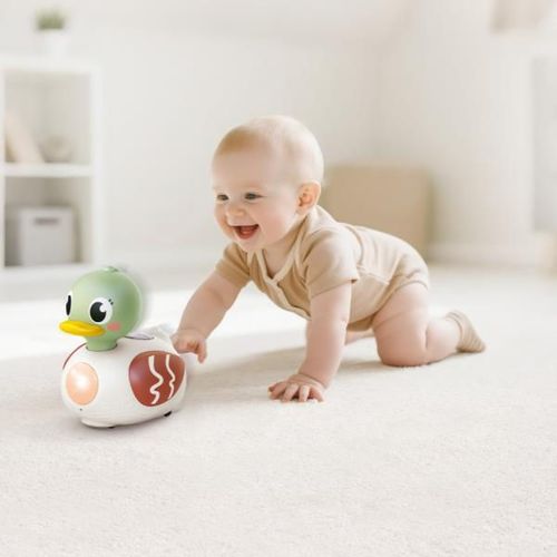 купить Игрушка Hola Toys HE9975 Rățușca cu muzica si lumina в Кишинёве 